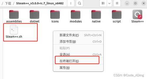 linux下运行.tgz压缩文件下的软件程序 以steam 为例